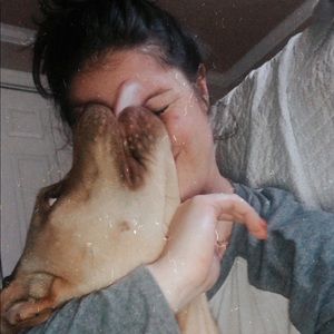 Meet your Posher, Alex